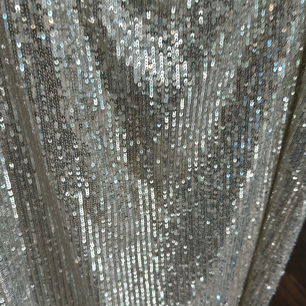 Baum and Pferdgarten sequin skirt. Never worn. Perfect for a shimmery night.